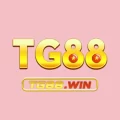 2tg88 com – Bắn Cá Nổ Hũ Đại Tiệc Tiền Thưởng Mỗi Ngày